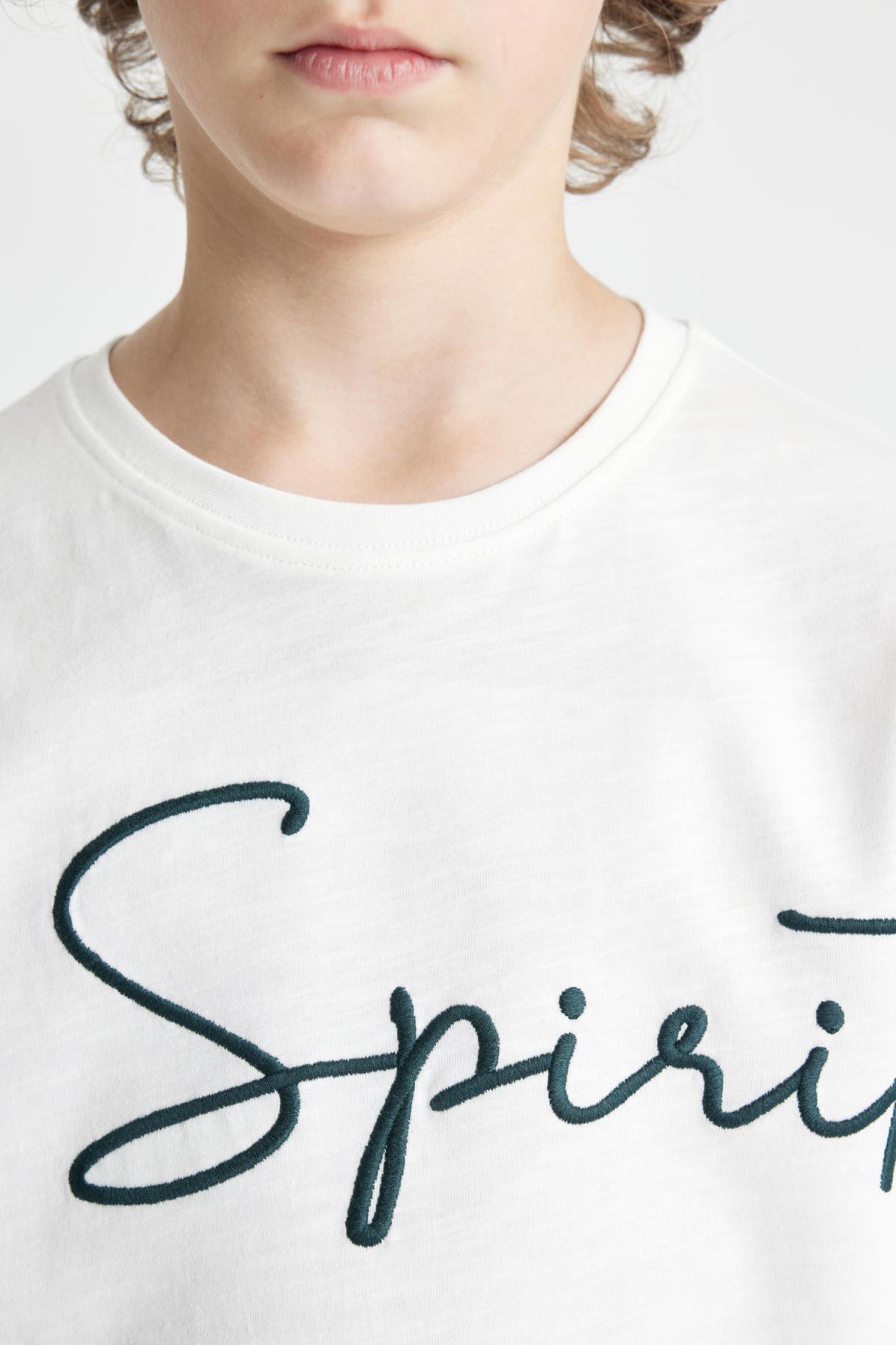 تی شرت پسرانه دفاکتو | C5084A824HS Defacto - Image 5