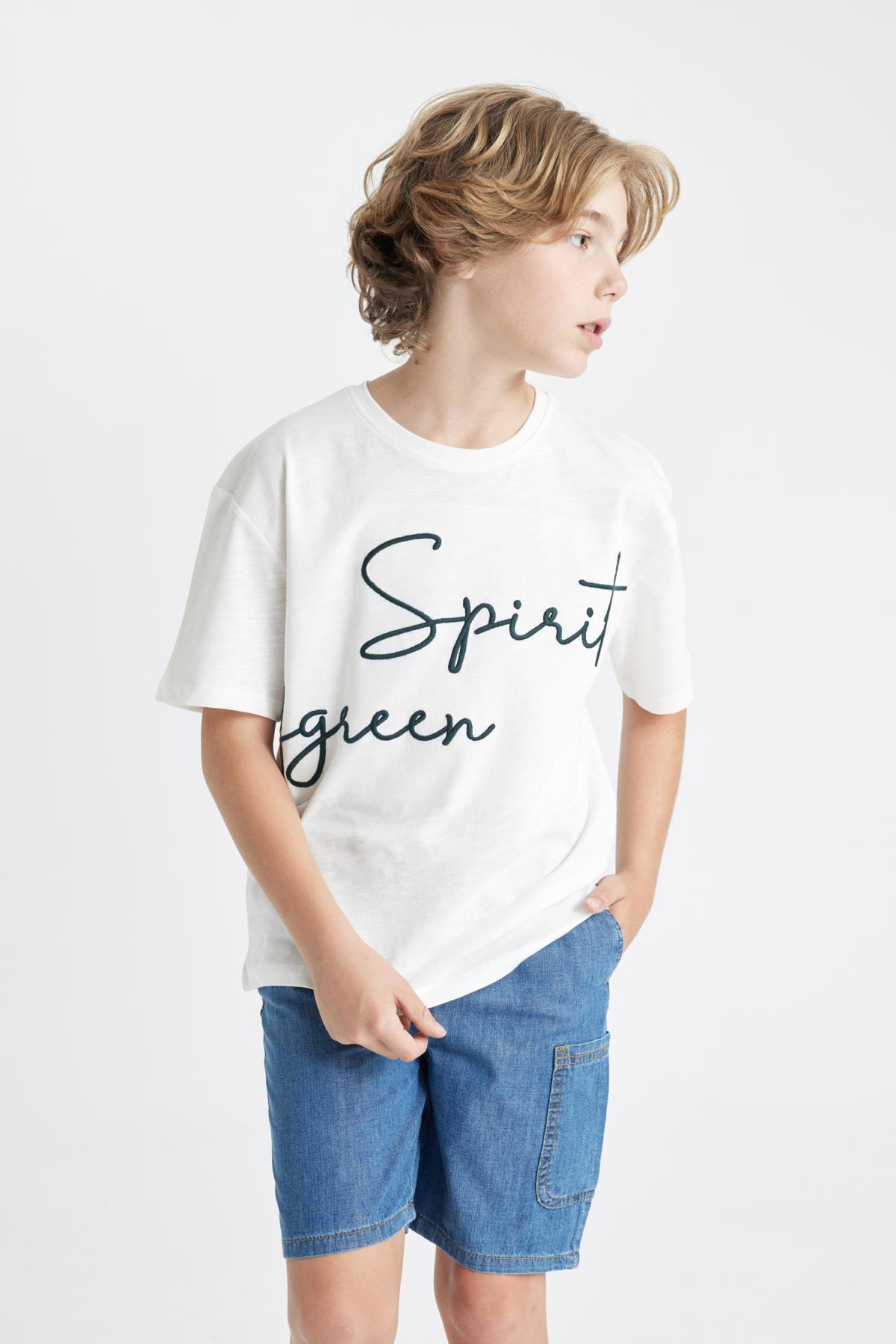 تی شرت پسرانه دفاکتو | C5084A824HS Defacto - Image 4