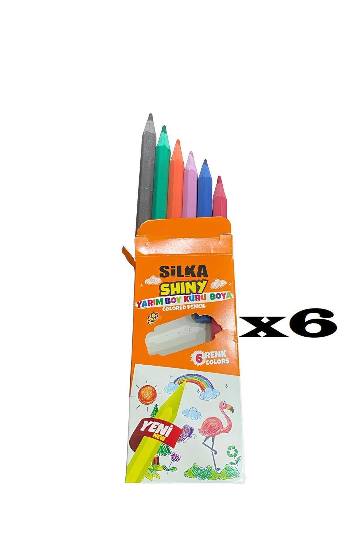 Silka SHINY YARIM BOY 6'LI KURU BOYA ( 6 PAKET )