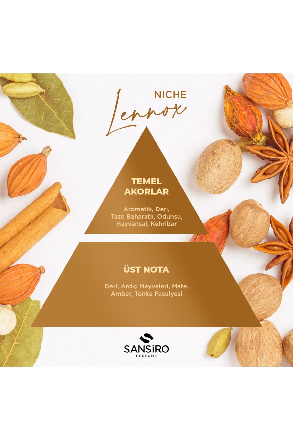 عطر زنانه نیچه آتلیه لنوکس ۱۰۰ میلی‌لیتری زنانه    | سنسیرو Sansiro 1100.70010.0005 - تصویر 4