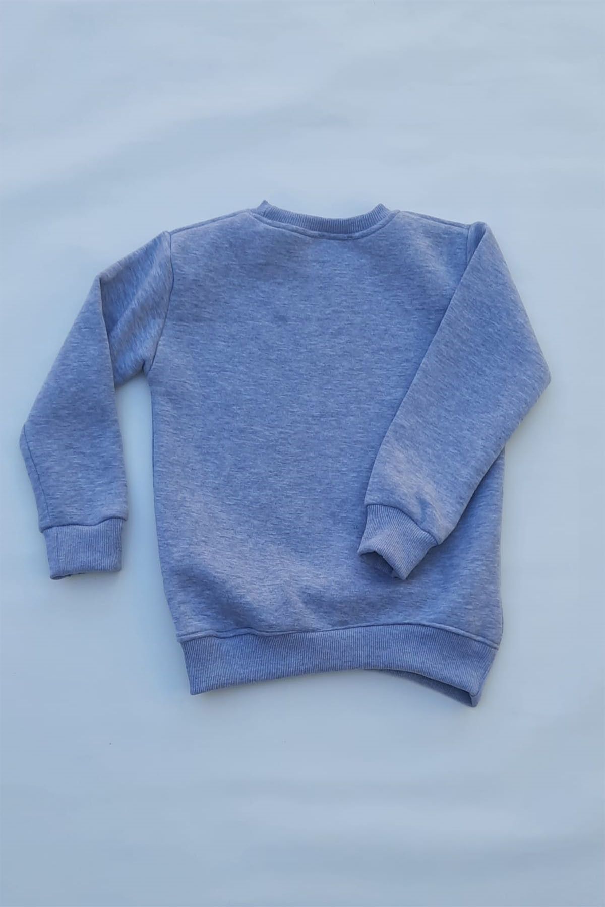 سویشرت پسرانه خاکستری THEWERT | 6D5F4BDG اورجینال - تصویر 2