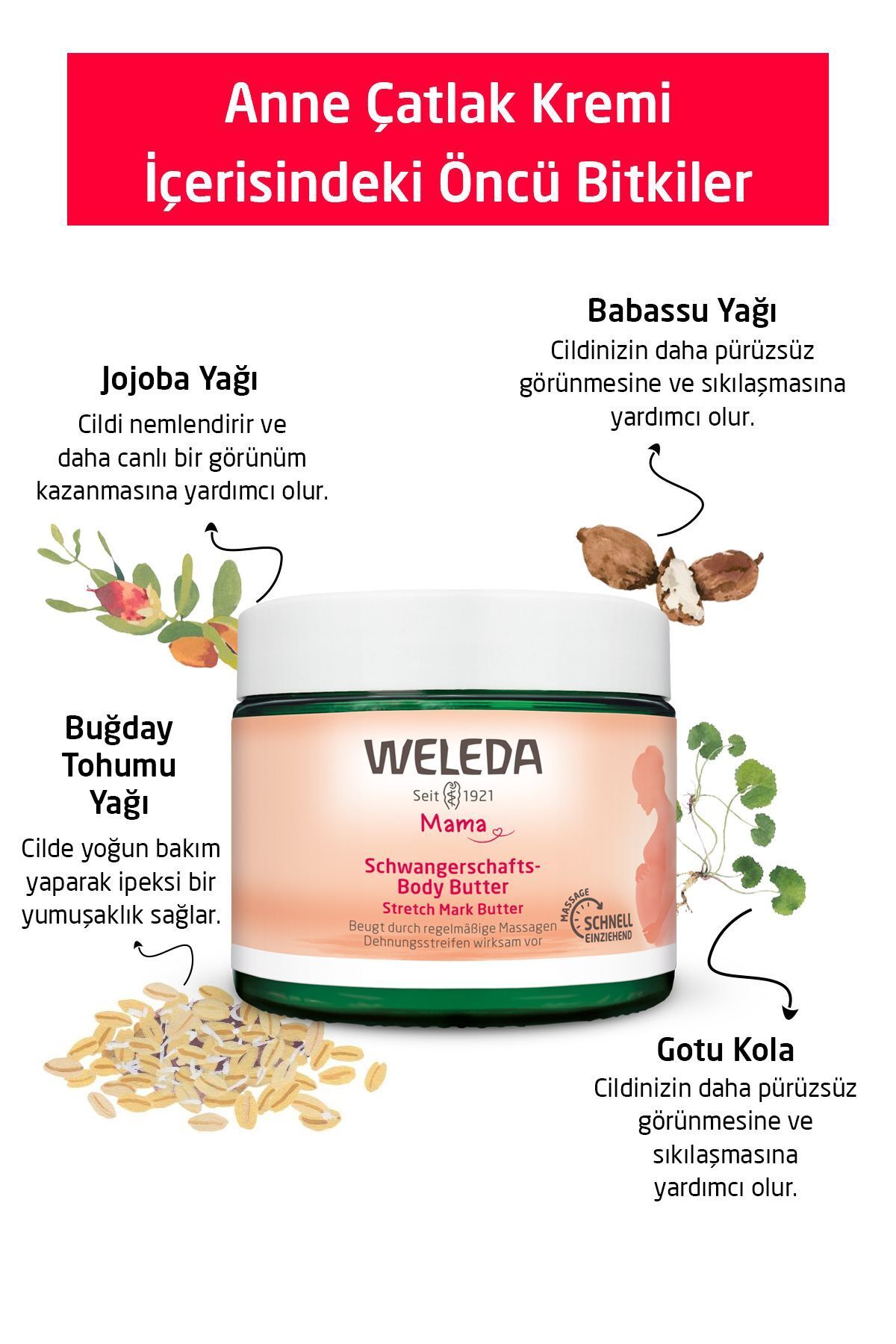 کرم استرچ مارک مادر ارگانیک 150 میلی لیتر Weleda