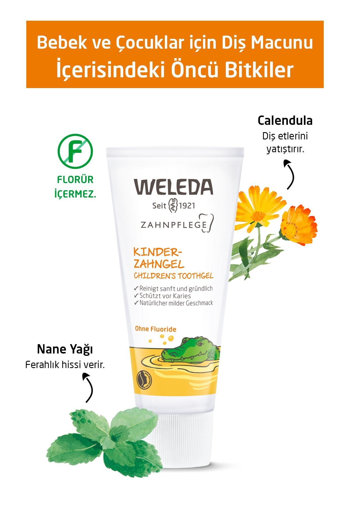 Weleda Bebek Ve Çocuklar Için Doğal Diş Macunu 2 X 50ml fotoğrafı 3 (önizleme)