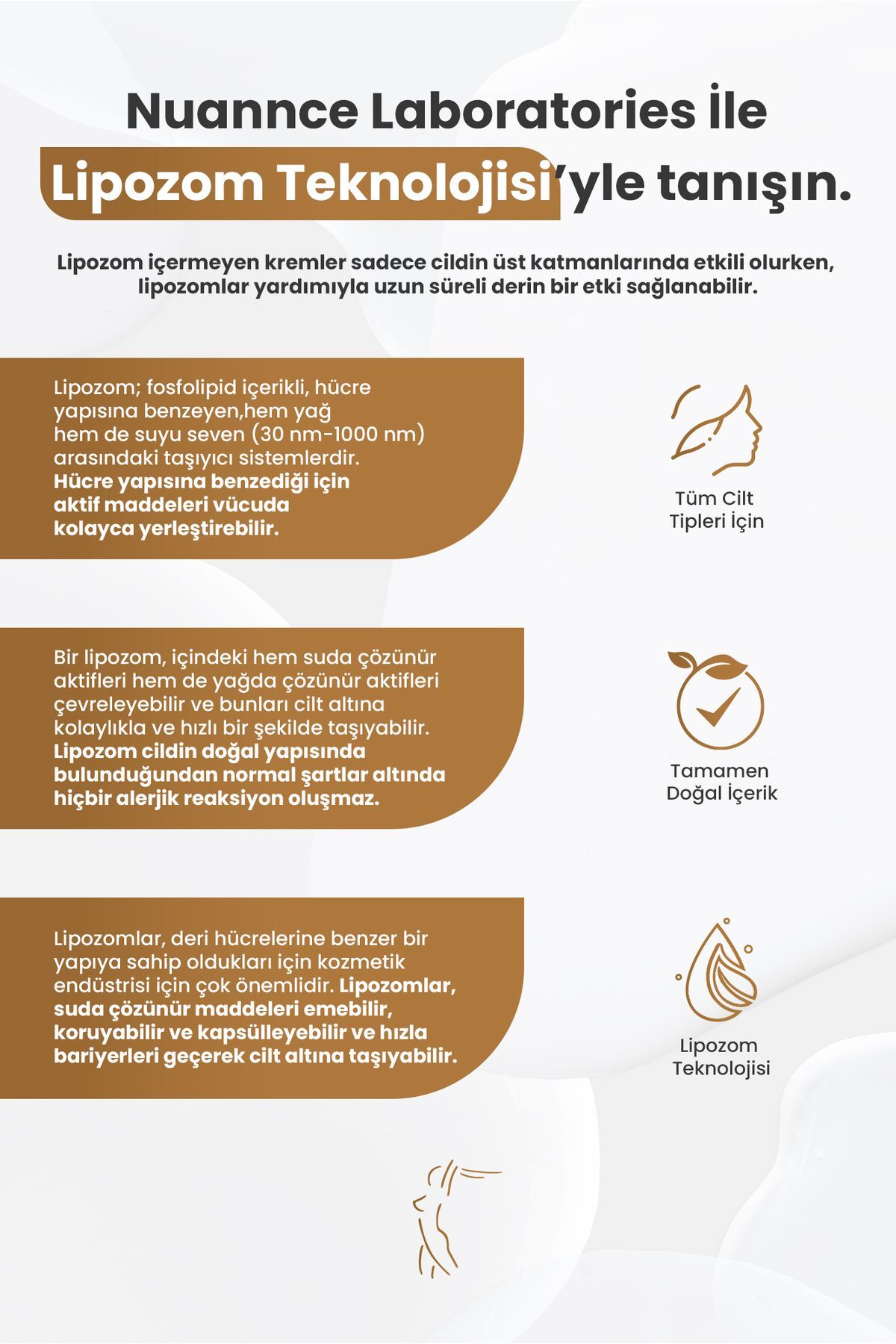 کرم صورت   NUANNCE LABORATORİES | 6951229 اورجینال - تصویر 3