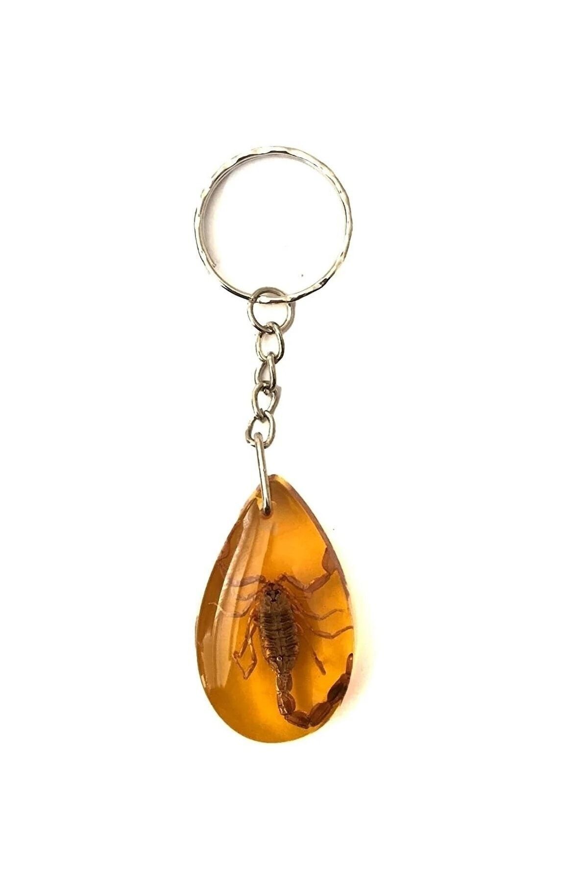 hankara-Scorpion Fossil Keychain 2