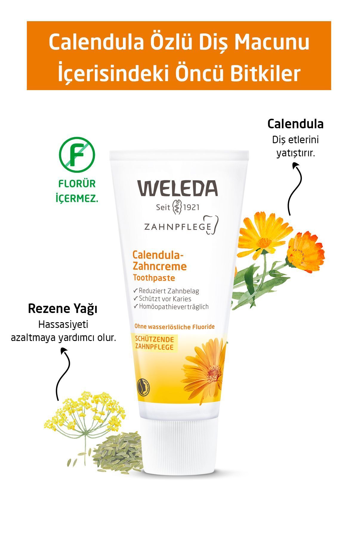 Weleda-Calendula Extract Organic Toothpaste 75ml 3