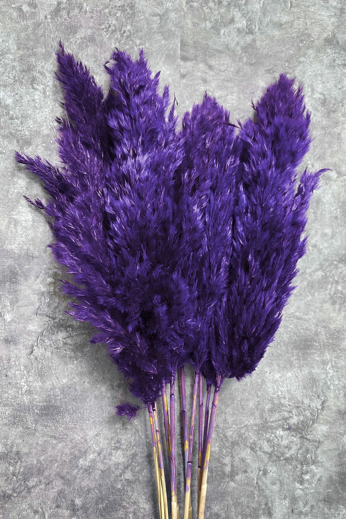 Goya Home Freezing Purple Pampas, связка из 10 шт. KCM000019