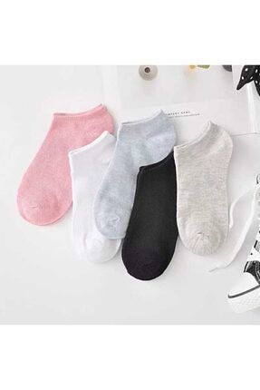 5'li Koton Kadın Renkli Patik Çorap 37