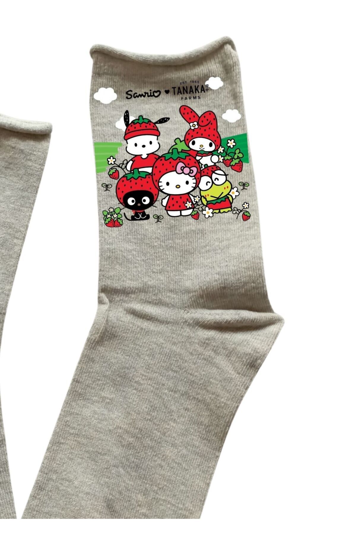 Girlboss Kawaii-Sanrio Pochacco and My Melody Chococat Hello Kitty Keroppi Napkin Cut Primavera Shoes 3