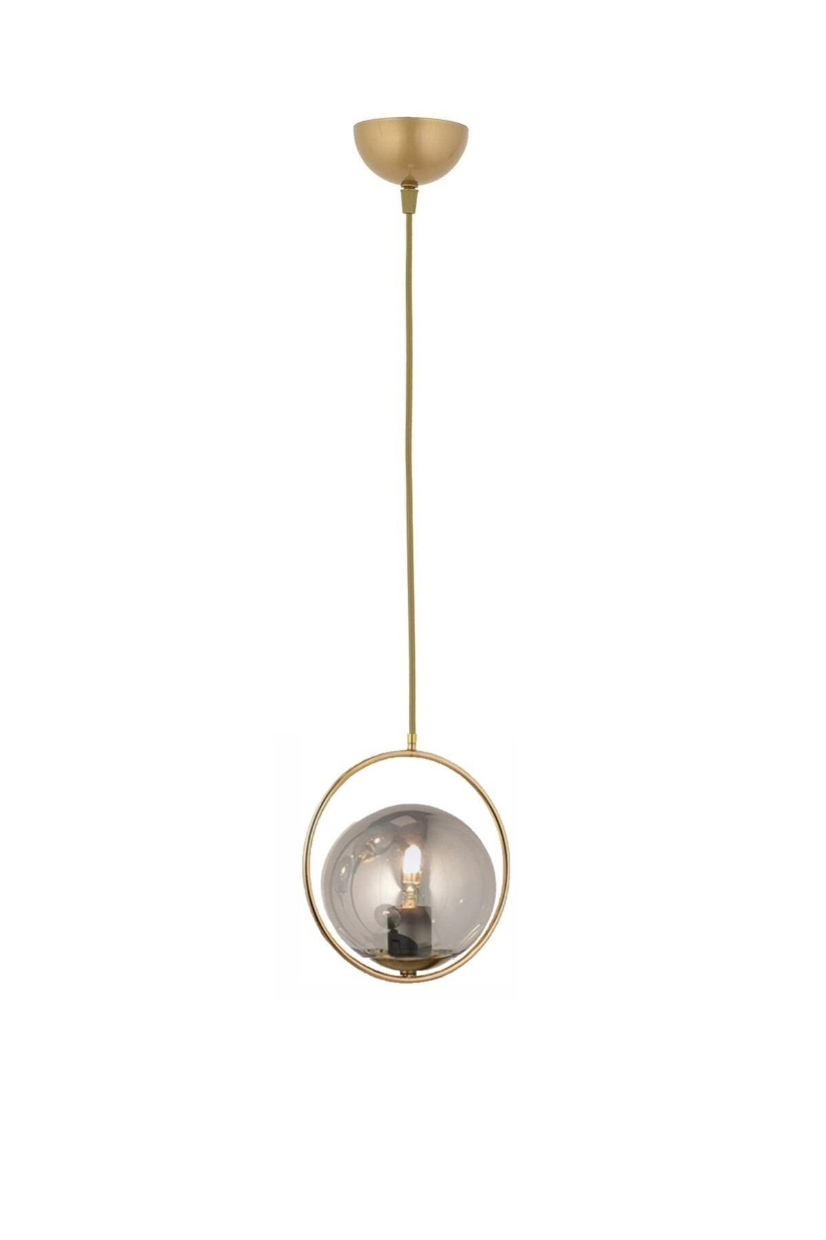 Modern Smoked Globe Glass Apartment Model Single Gold Pendant