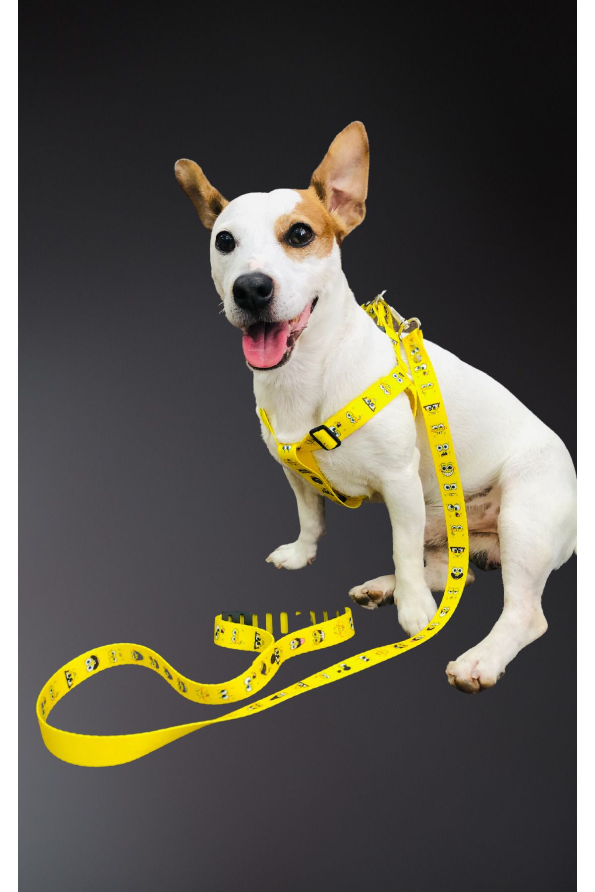 z zizuph-Dog Collar and Leash with Bag Set of 3 4