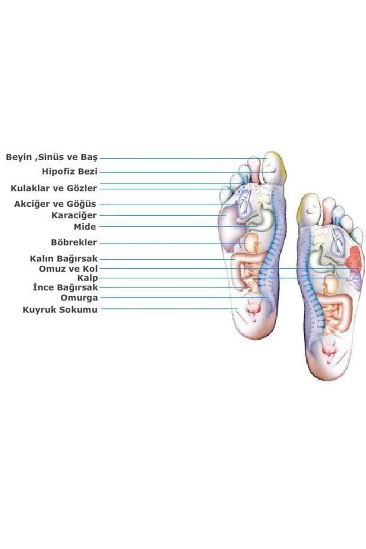 Bio Concept Tabanlık Bayanlar İçin 35-39 Numara Ayak 4