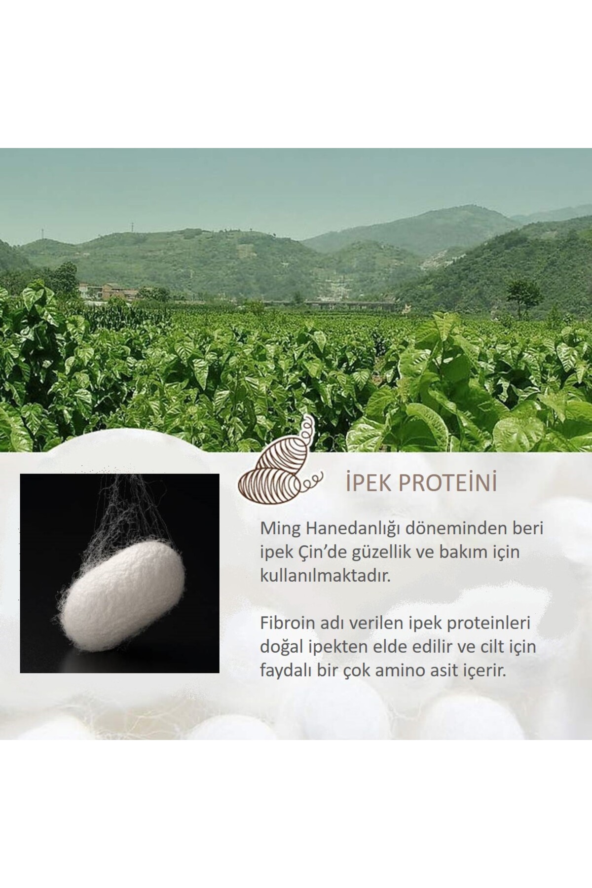 Geleneksel Ipek Proteini Ve Centella Formüllü El Ve Ayak Bakım Kremi 80 gr — MIN295 — تصویر 3 از 5