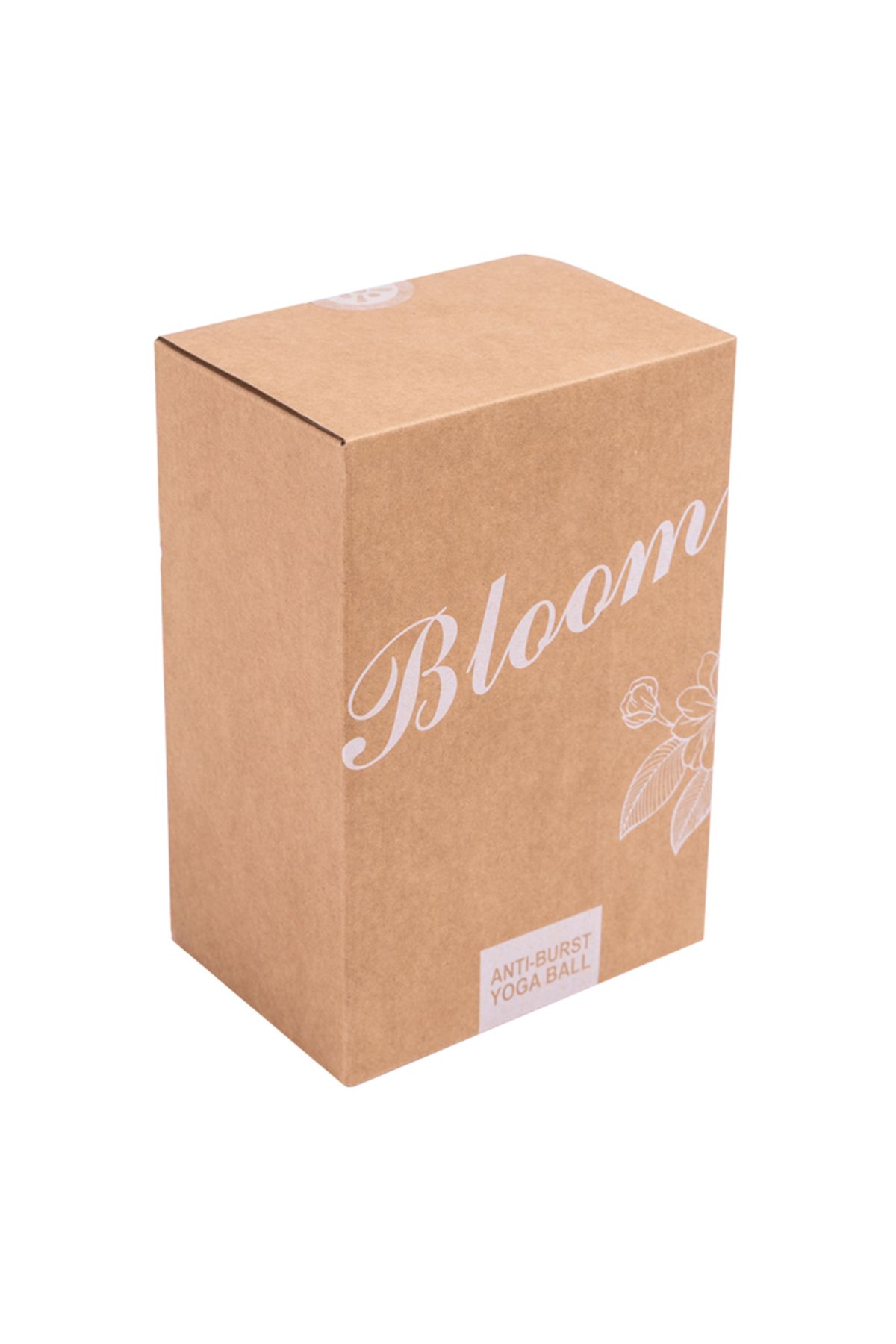 توپ پیلاتس سبز 55 سانتی متر BALL اورجینال Bloom