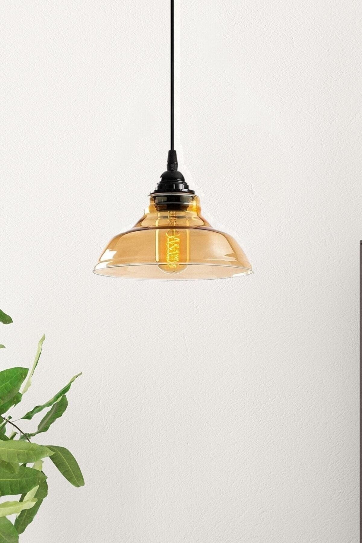 Special Model Single Black Modern Honey Pendant with Glass