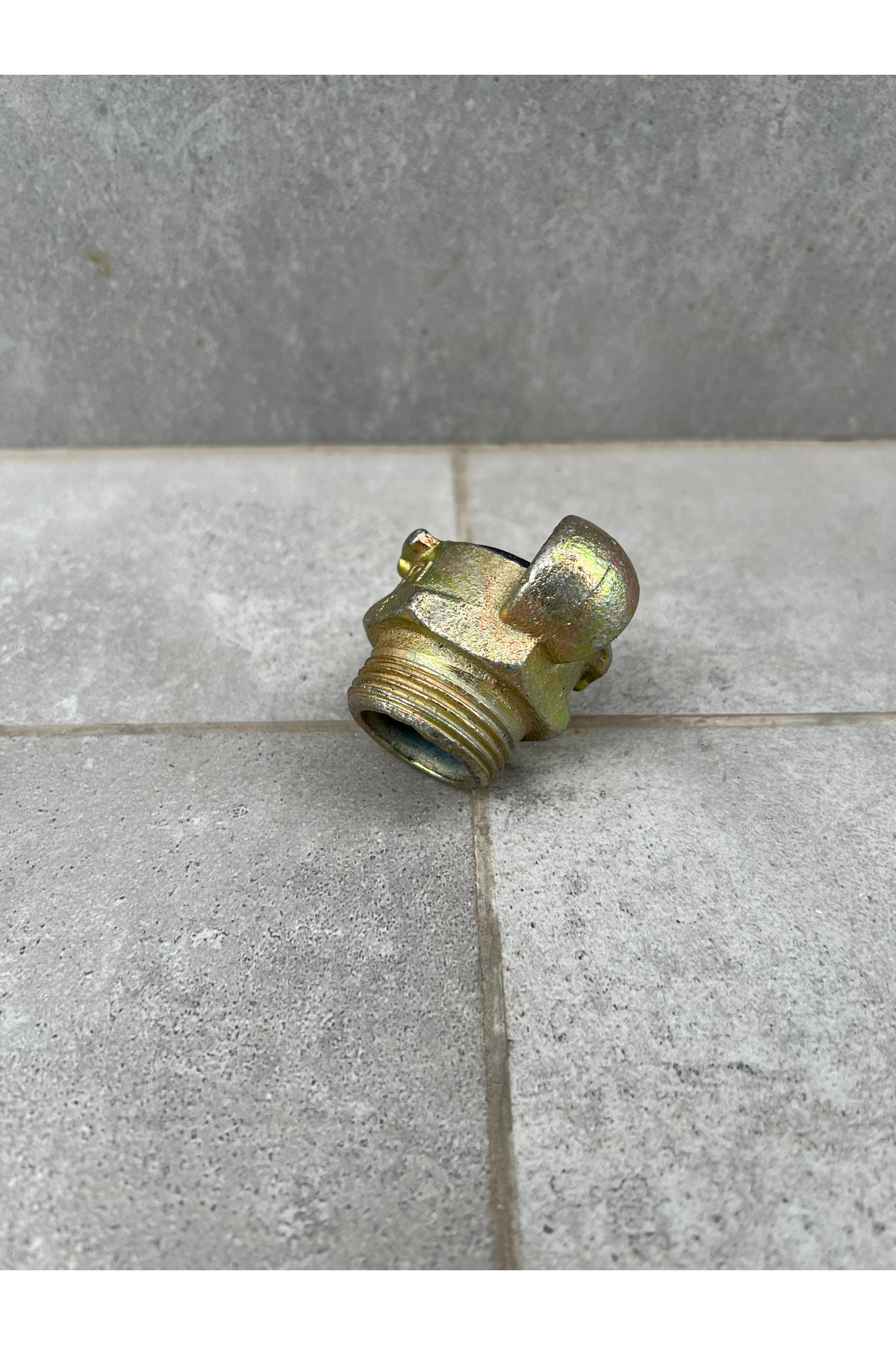 ARI Kurtağzı Erkek Rakor 1"