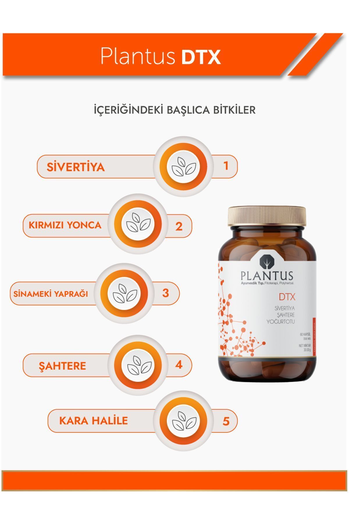Dtx Bitkisel Kapsül - Detoks - 4