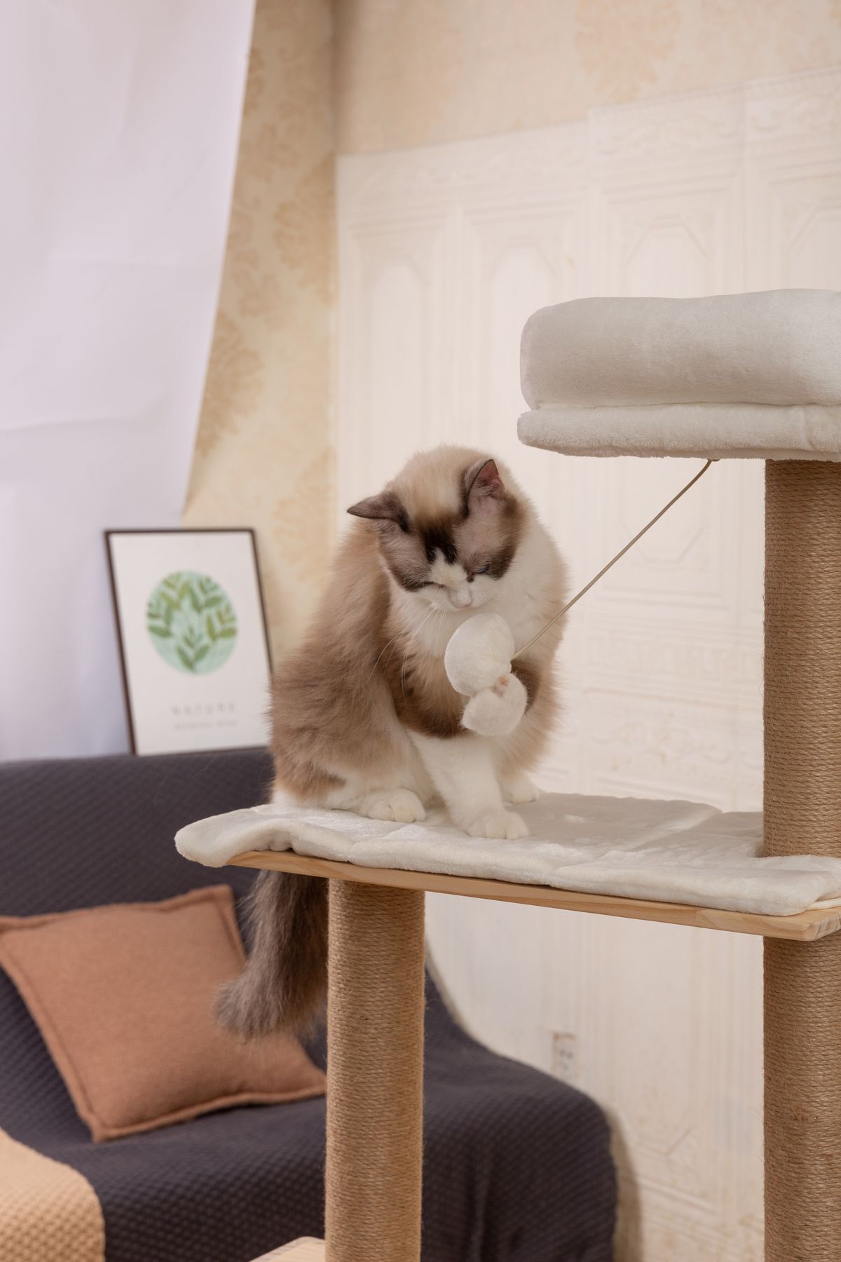 RAIKOU-Lissa Cat Scratching Area - Comfortable Cutting 3