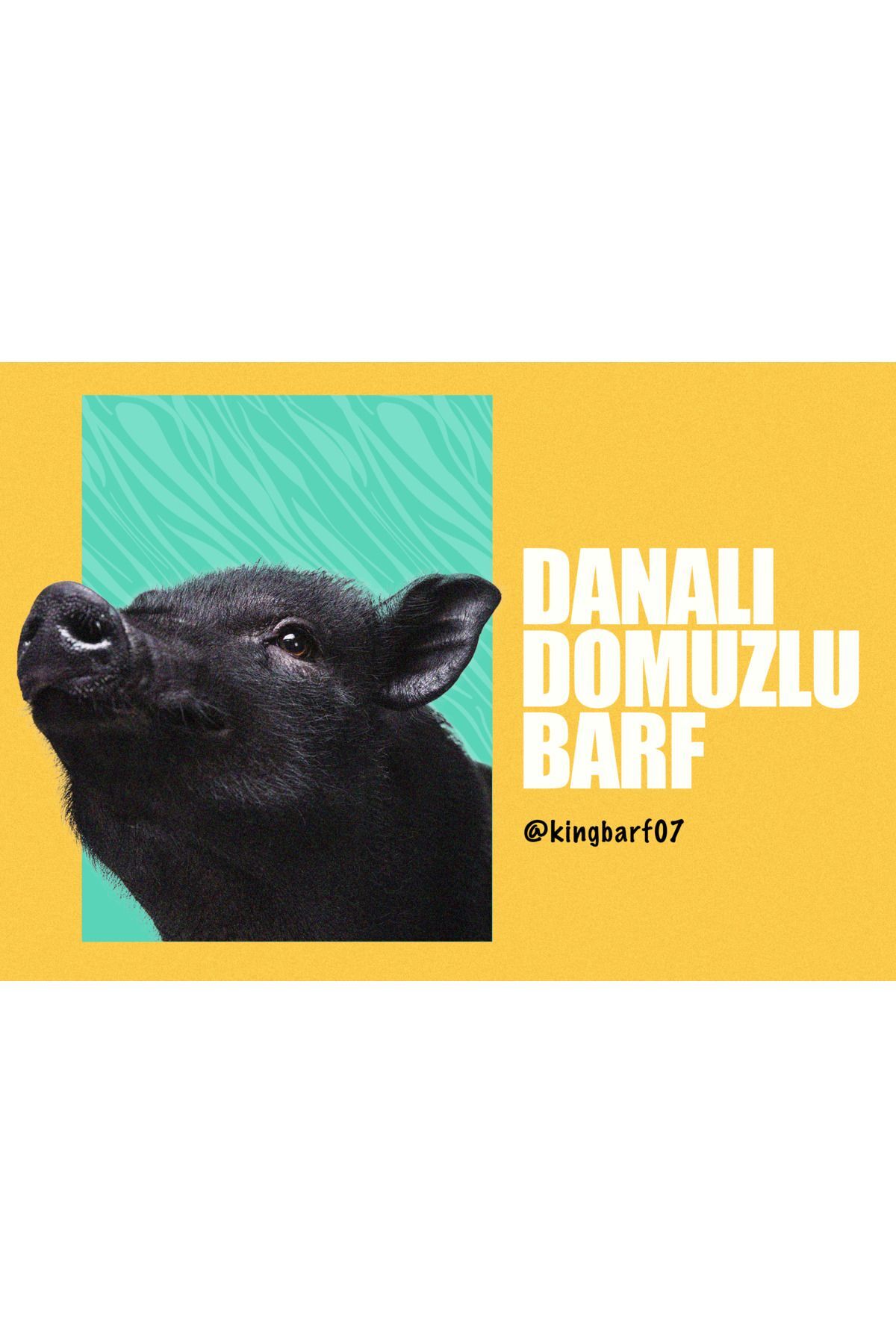 King Barf King Domuzlu&Danalı 15 Kg Köpek Maması (barf)