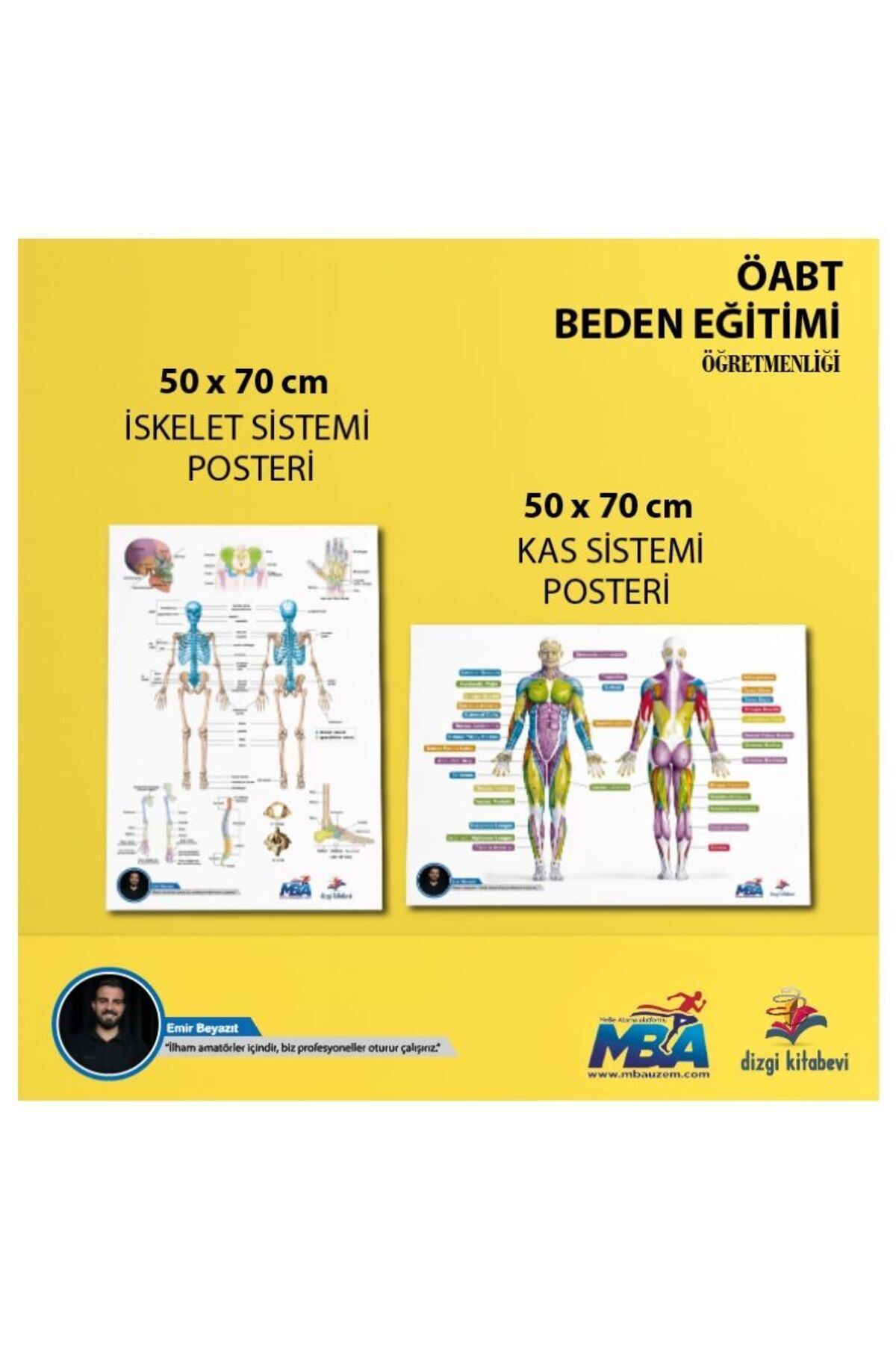 2026 Öabt Physical Education Teaching Skeletal System & Musculoskeletal System Poster