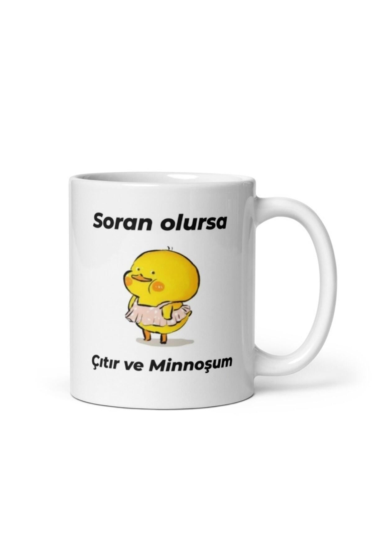 If anyone asks, Crispy and Little Chick Mug