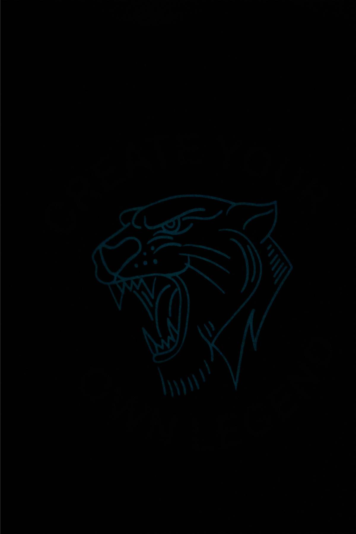 تی شرت پسرانه دفاکتو | C6256A824HS Defacto - Image 3