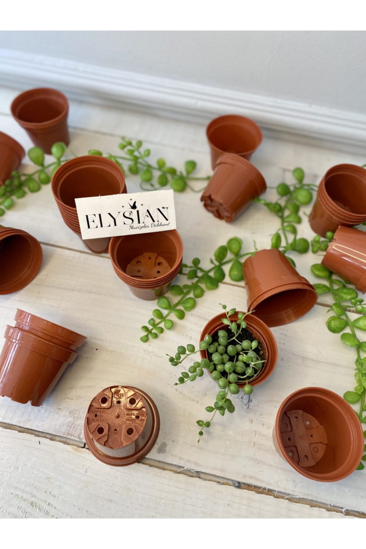 Üretim Saksı 20 Adet 0,12lt Kaktüs Sukulent Üretim Saksısı 67x54 Cm Kiremit Renkli Plastik Saksı 2