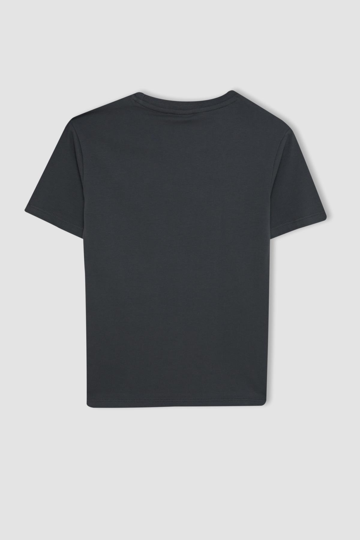 تی شرت پسرانه دفاکتو | C6255A824HS Defacto - Image 4