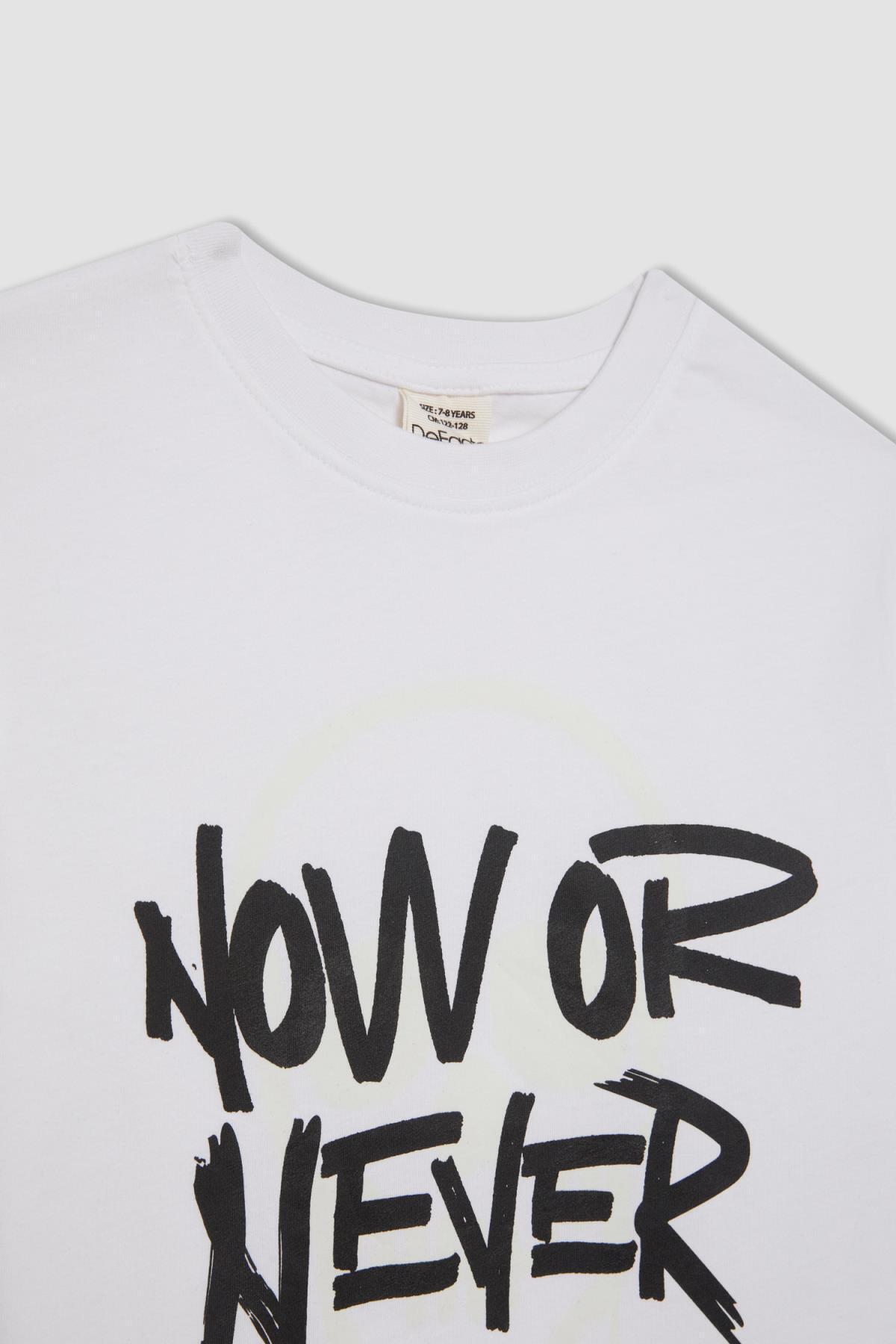 تی شرت پسرانه دفاکتو | C6258A824HS Defacto - Image 2