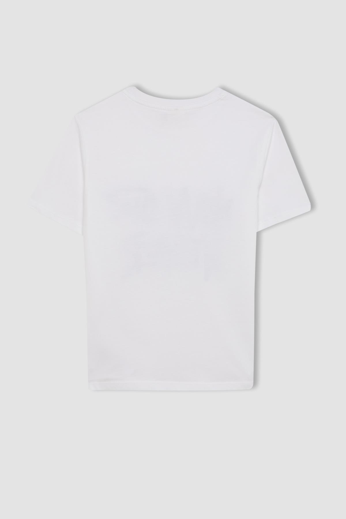 تی شرت پسرانه دفاکتو | C6258A824HS Defacto - Image 3