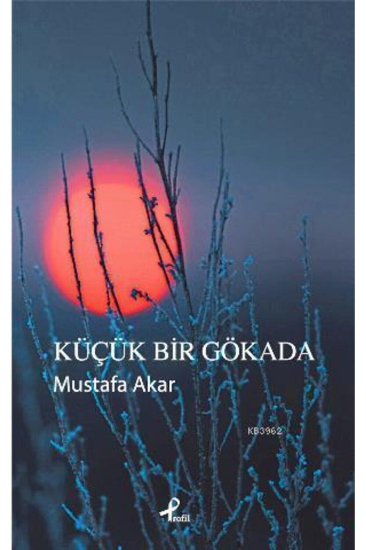 Küçük Bir Gökada, Mustafa Akar, , Küçük Bir Gökada Kitabı, 64 Sayfa