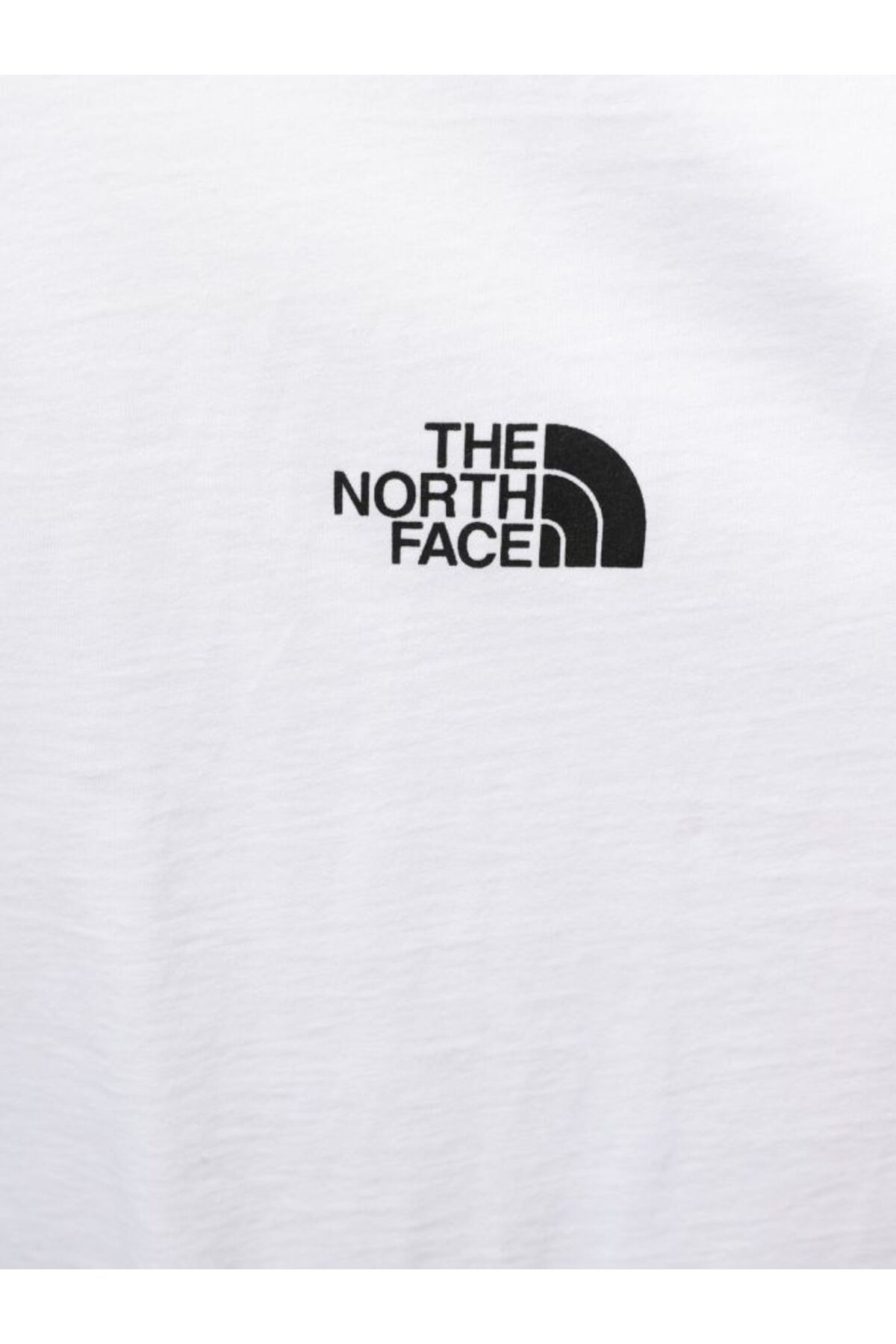 تی شرت سفید مردانه توری اورجینال The North Face