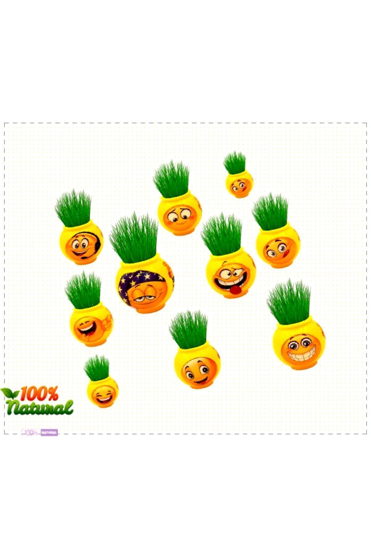 OMZ Test Zeka Oyunu Ve 1 Adet Çim AdamErkek Cocuk Montessori Geliştiren Egitici Oyuncaklar fotoğrafı 2 (önizleme)