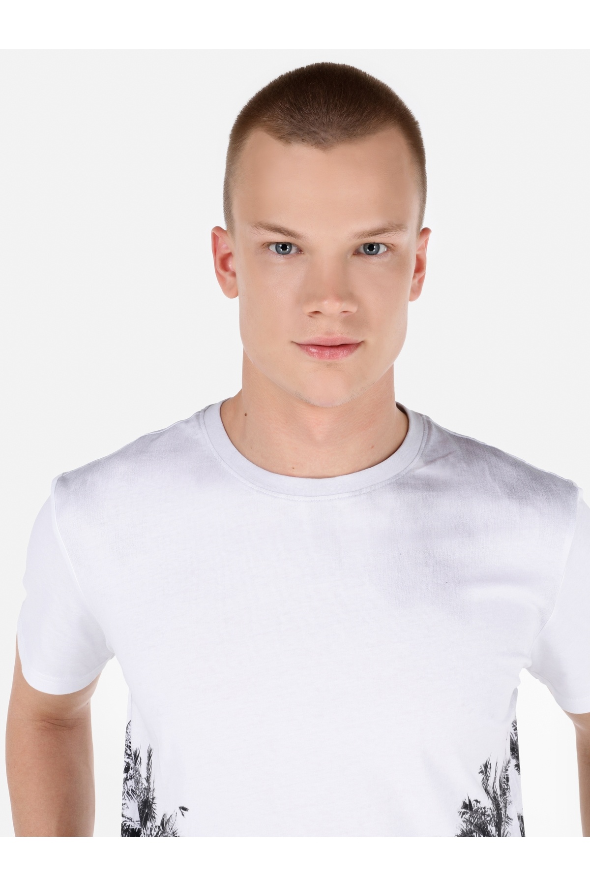 تی شرت مردانه کولینز | .CL1067795_Q1.V1_MTC Colin’s - Image 4