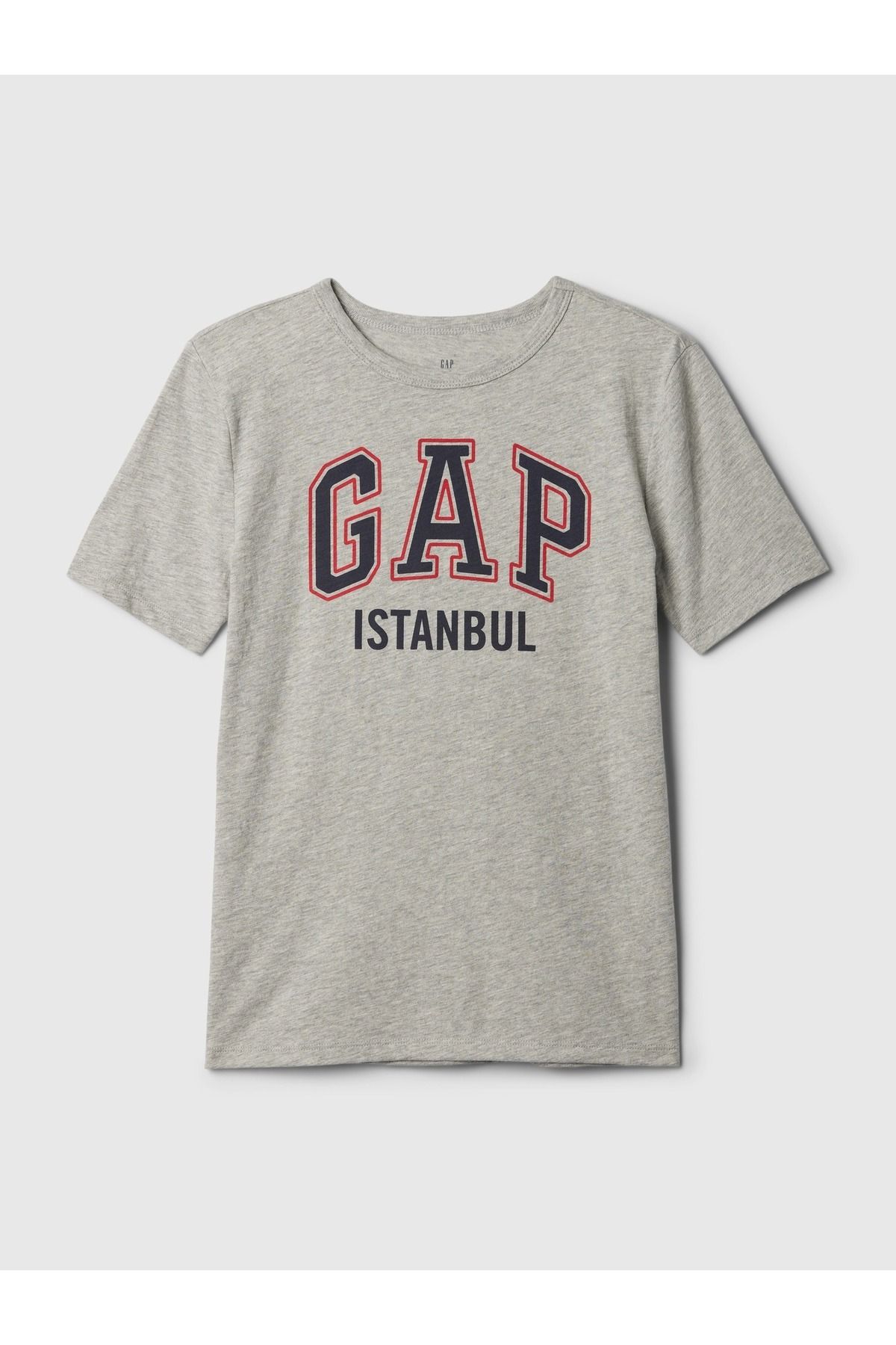 GAP Boy Серая футболка с логотипом Gap Istanbul 410082