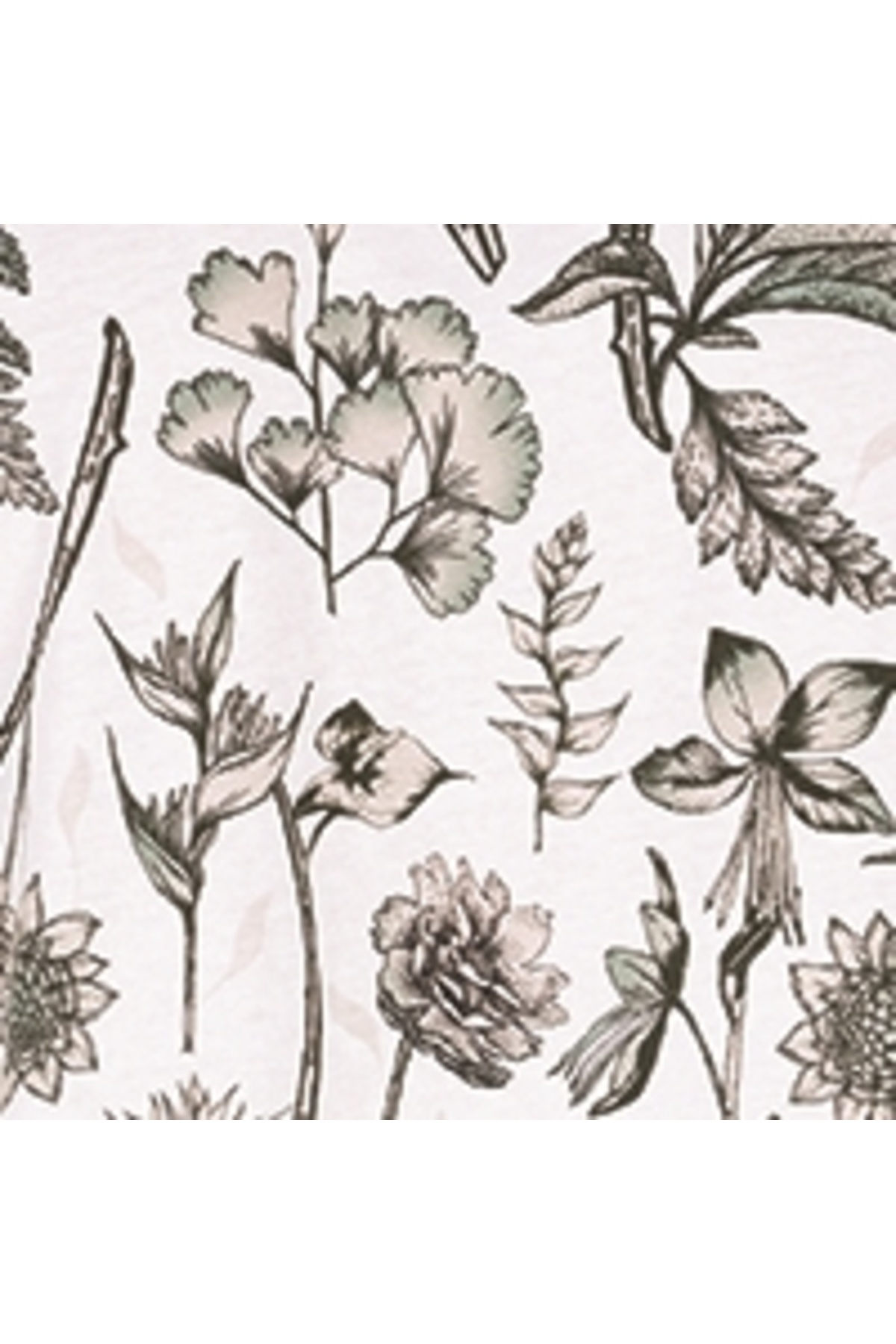 تی شرت مردانه کولینز | .CL1068822_Q1.V1_BEI Colin’s - Image 6