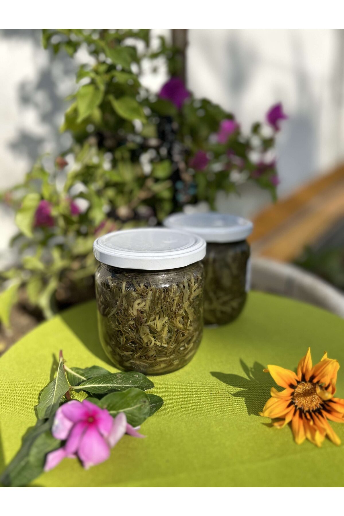 Aydın Enginar Köy Ürünleri 425 cc Deniz Fasulyesi Konervesi