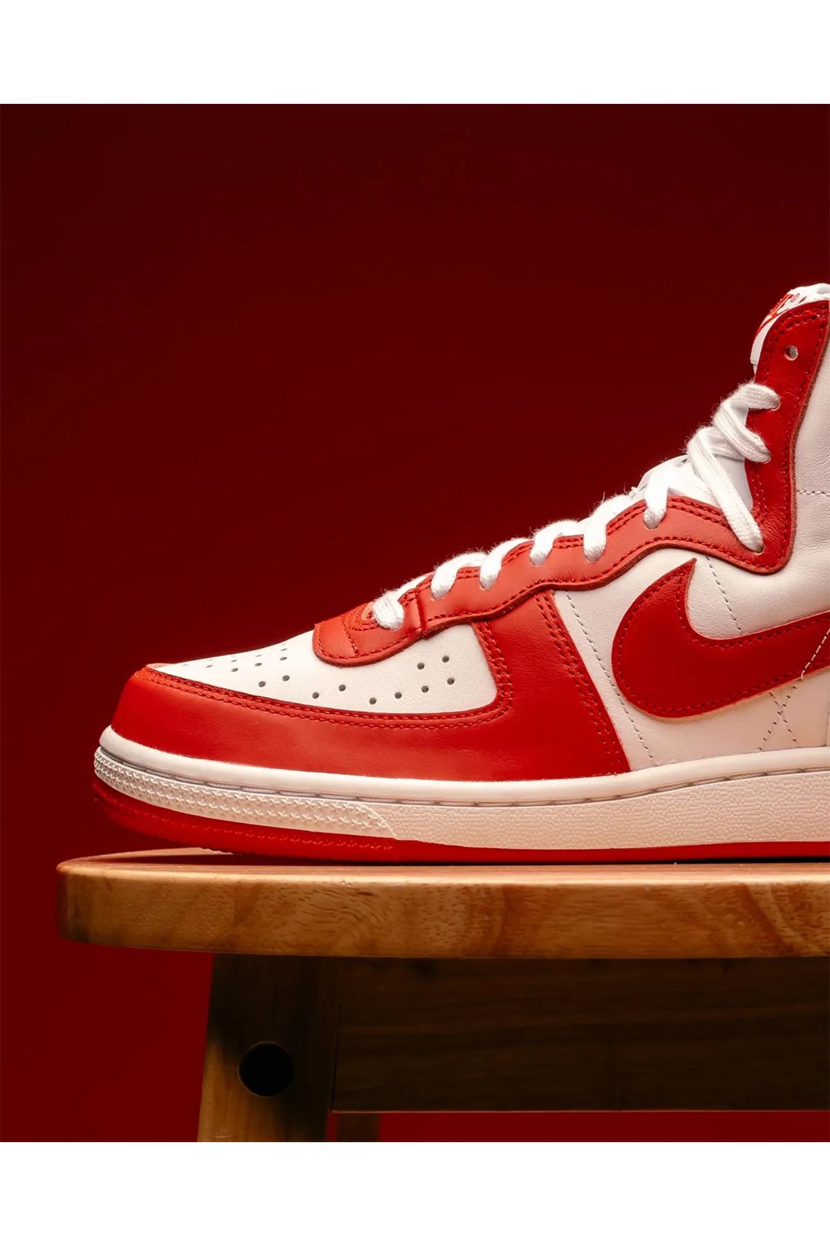 Nike terminator jordan top