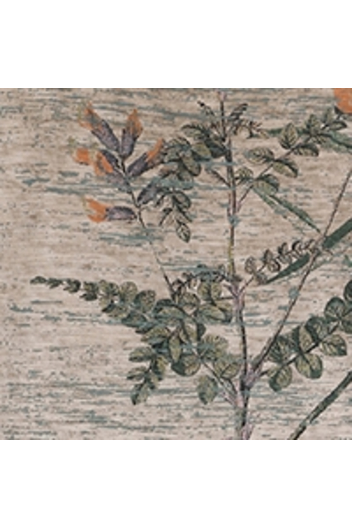 تی شرت مردانه کولینز | .CL1067752_Q1.V1_TPE Colin’s - Image 6