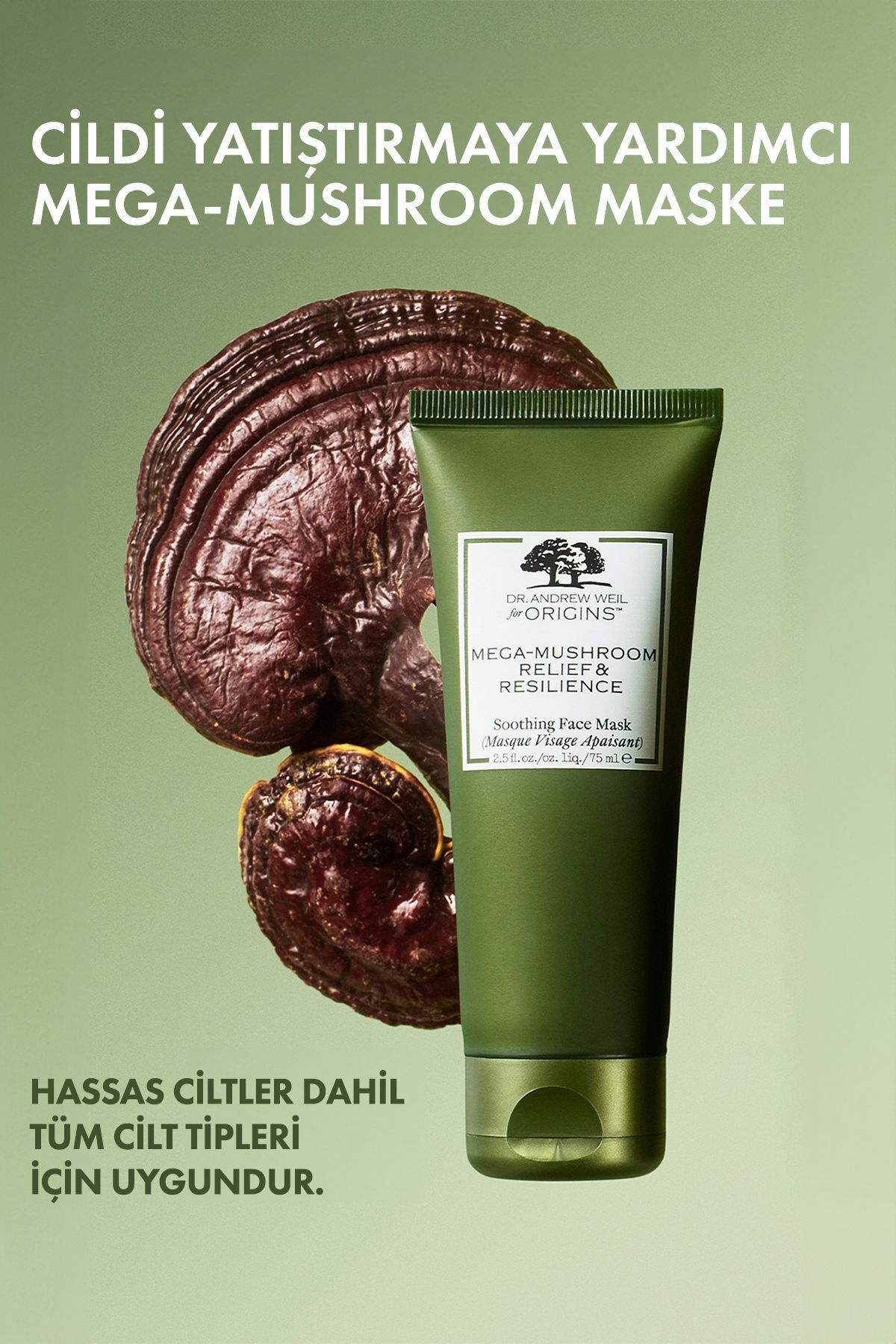 ماسک صورت MEGA MUSHROOM RISHWORK و هدف در برابر SOORING 75 میل Origins