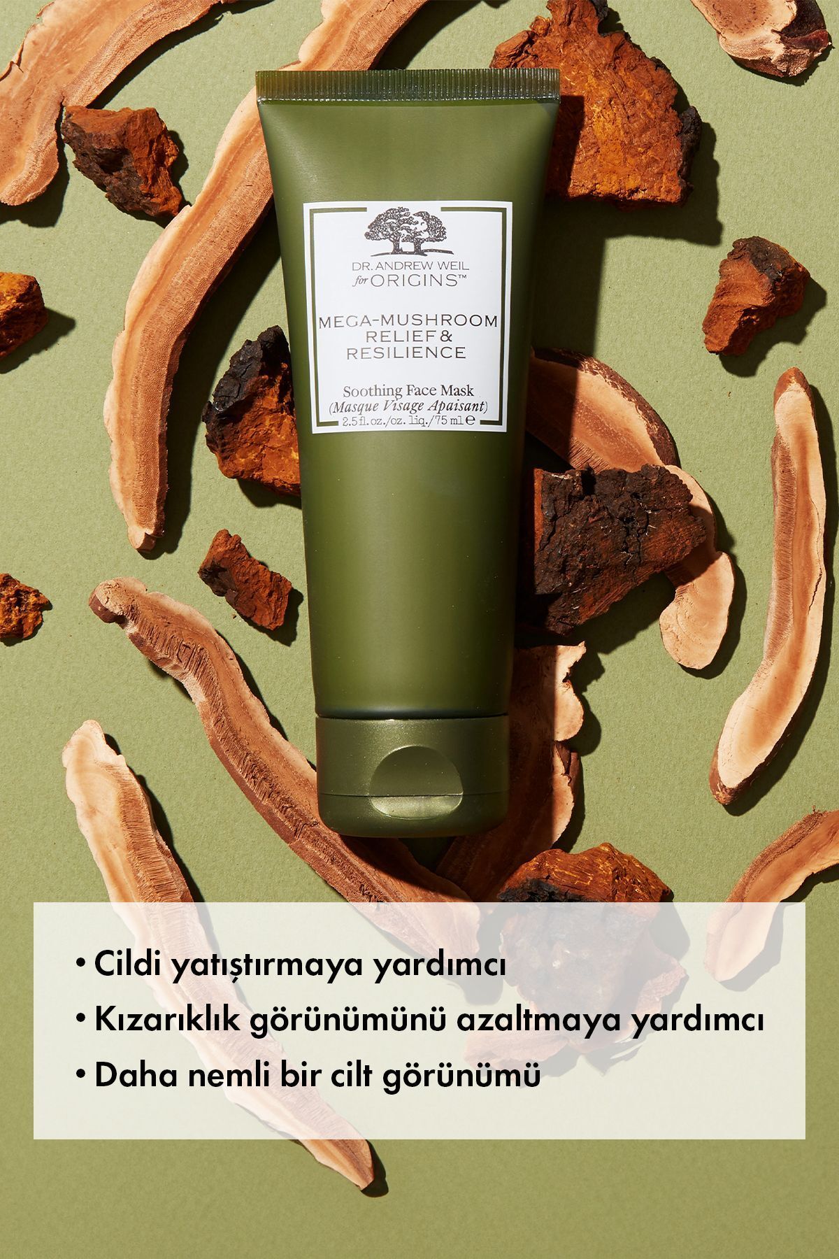 ماسک صورت MEGA MUSHROOM RISHWORK و هدف در برابر SOORING 75 میل Origins