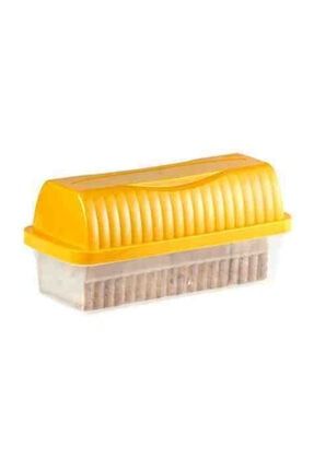 2 Adet Plastik Kapaklı Kek Kurabiye Pasta Saklama Kabı Fanus Kutu ANKAL-405000481848-2li