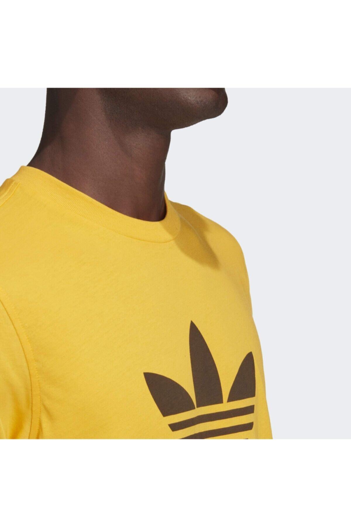 women's pants short length