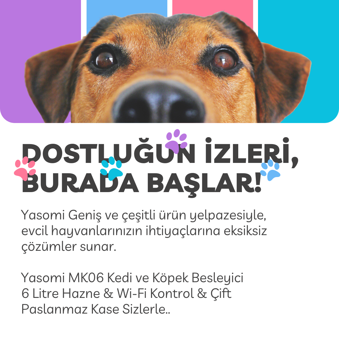 Otomatik Kedi Köpek Besleyici