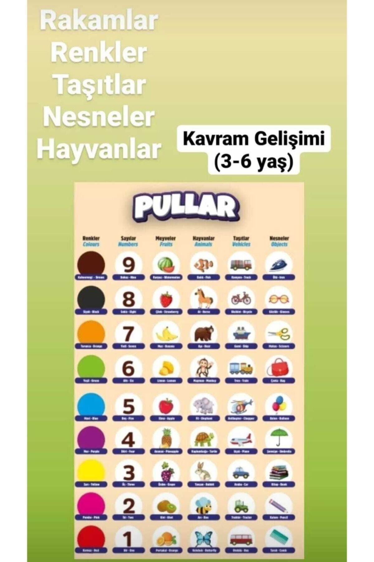 pediaswiss Mini-tombala fotoğrafı 6 (önizleme)