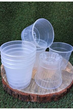 bfalina botanik 6 Adet 12 Pot Şeffaf Orkide Üretim Saksısı 0.70 Litre Kalitel...