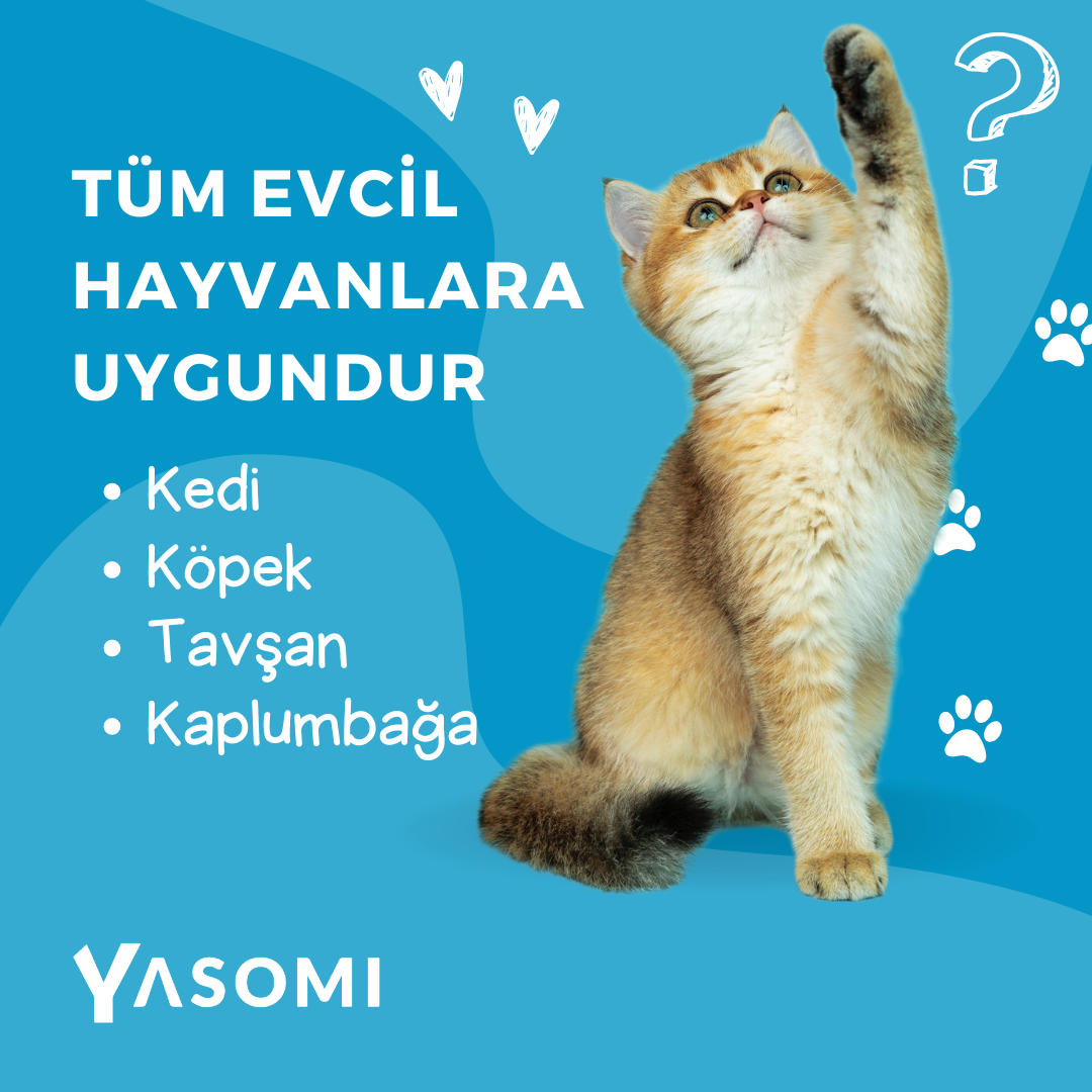 Otomatik Kedi Köpek Besleyici