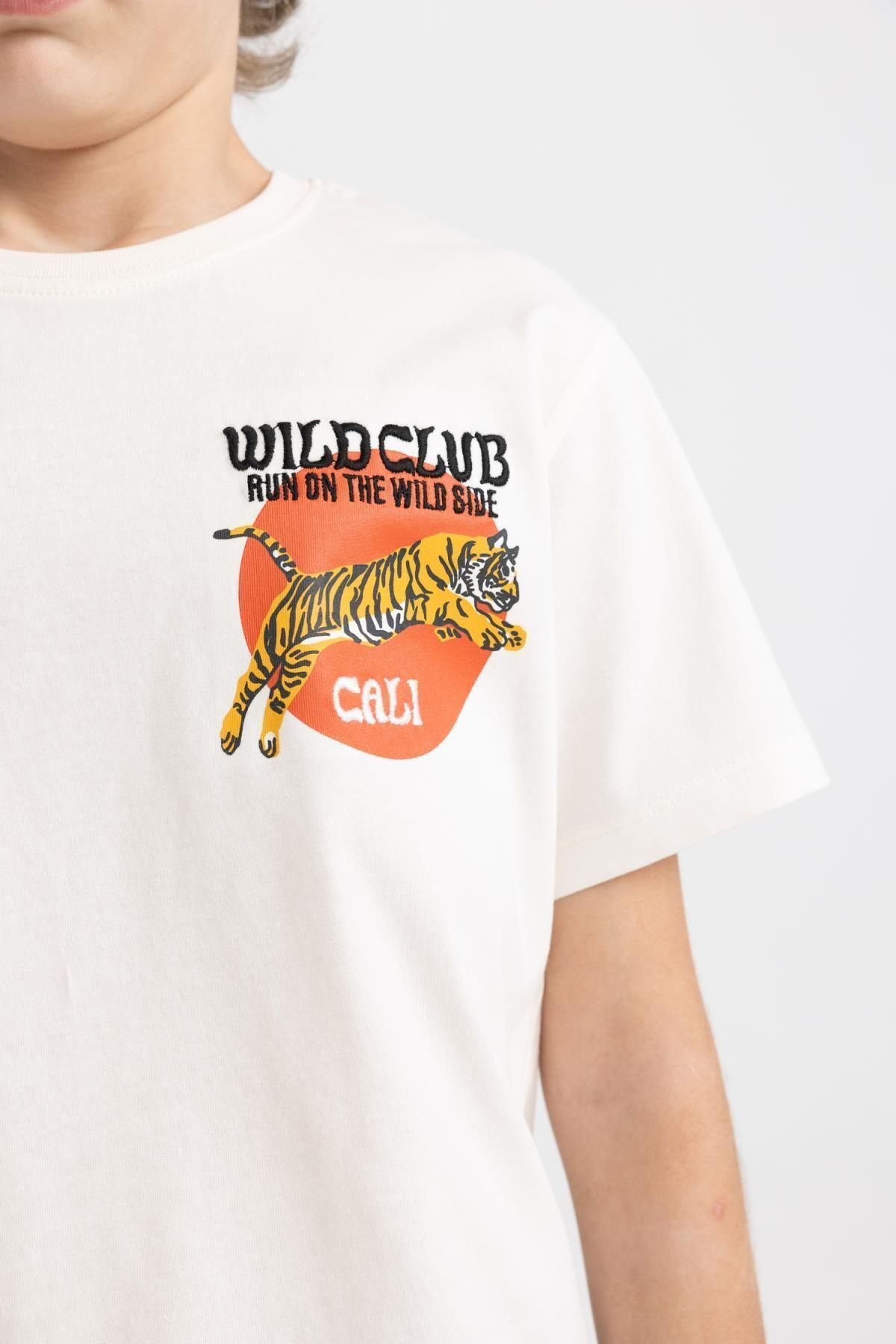 تی شرت پسرانه دفاکتو | D0402A824SM Defacto - Image 4