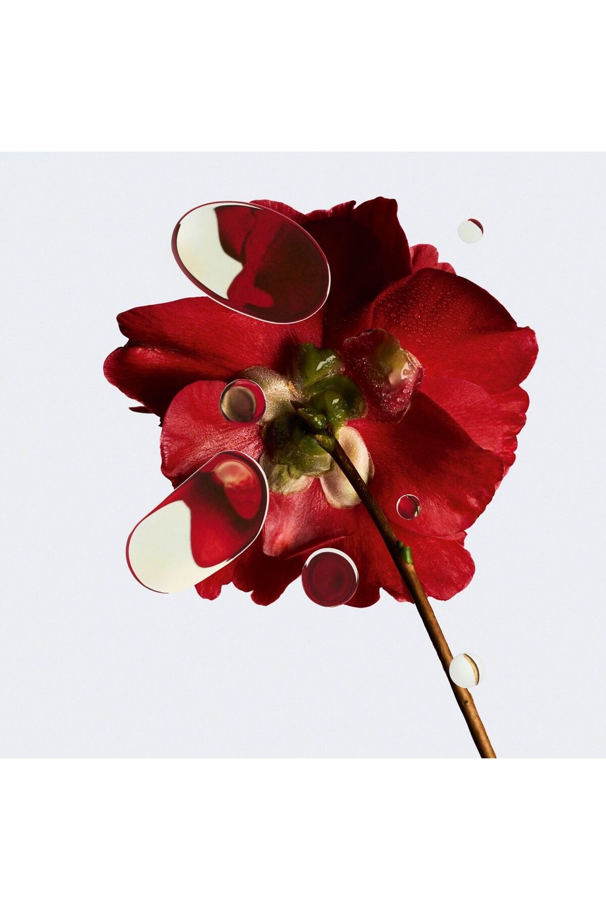 Chanel-N°1 DE CHANEL REVITALIZING - 50G Revitalizing Purifying Mask with Red Camellia Extract 3