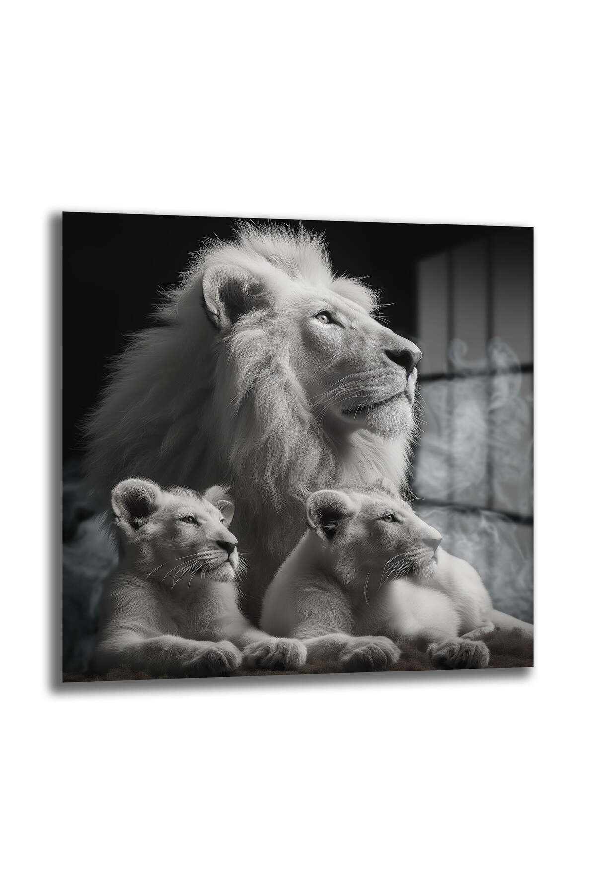 White Lion Family Square Glass Painting